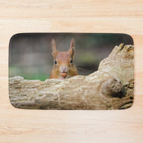 Item preview, Red Squirrel Eating Hazelnuts designed and sold by Alec Stewart.
