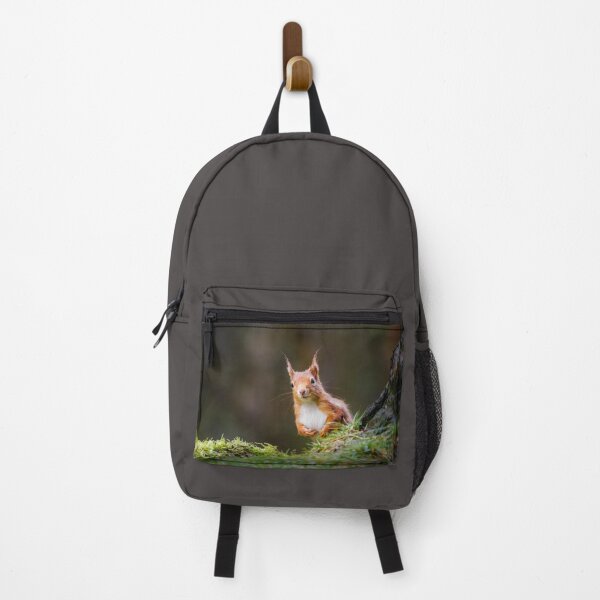 Item preview, Curious Red Squirrel designed and sold by Alec Stewart.