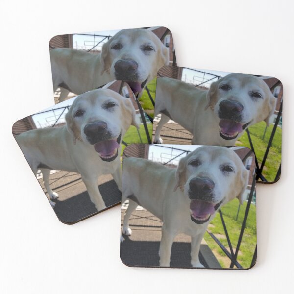 Item preview, Cute yellow lab standing on stoop designed and sold by jedoublesizzle.