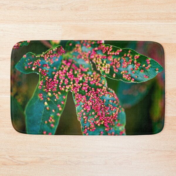 Item preview, Maple bladder galls designed and sold by FOLK ART FUSION by heidiannemorris.