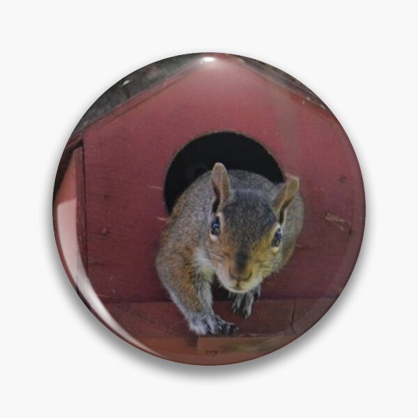 Item preview, The Squirrel in the Birdhouse designed and sold by ReneeKennedy.