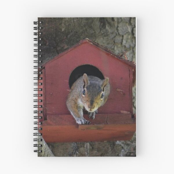 Item preview, The Squirrel in the Birdhouse designed and sold by ReneeKennedy.