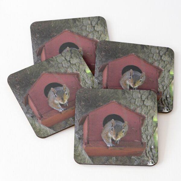 Item preview, The Squirrel in the Birdhouse designed and sold by ReneeKennedy.