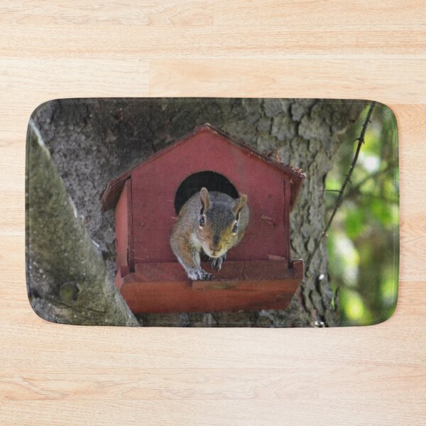 Item preview, The Squirrel in the Birdhouse designed and sold by ReneeKennedy.