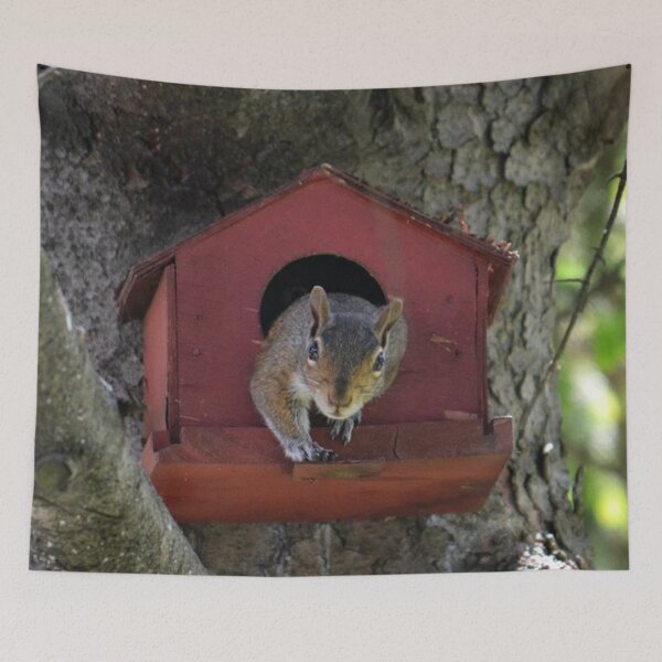 Item preview, The Squirrel in the Birdhouse designed and sold by ReneeKennedy.