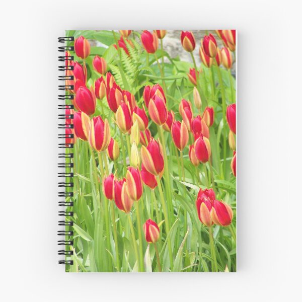 Artikelvorschau, Tulpenpracht in Rot entworfen und verkauft von Boscastle.