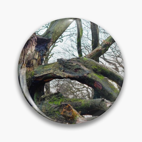 Item preview, Broken Beech Tree designed and sold by FOLK ART FUSION by heidiannemorris.