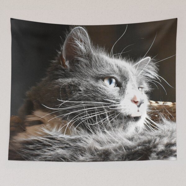 Item preview, The Cat in the Sun designed and sold by ReneeKennedy.