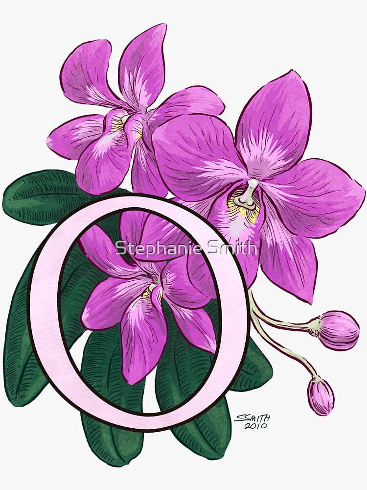 O is for Orchid - full image by stephsmith