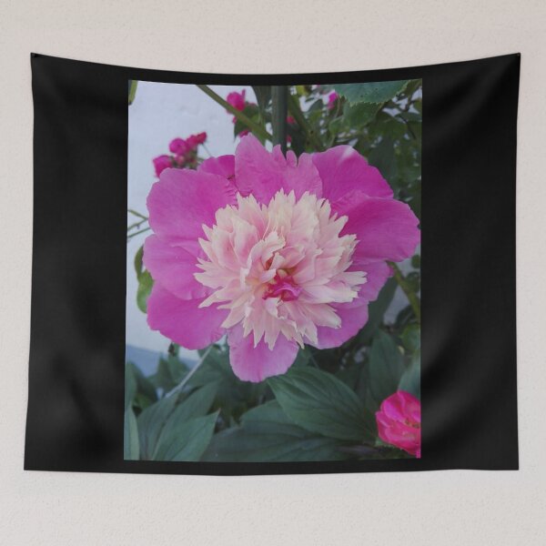 Item preview,  we have compiled the best flower and its meaning for you. The pink plant of the flower language designed and sold by vibeno1.
