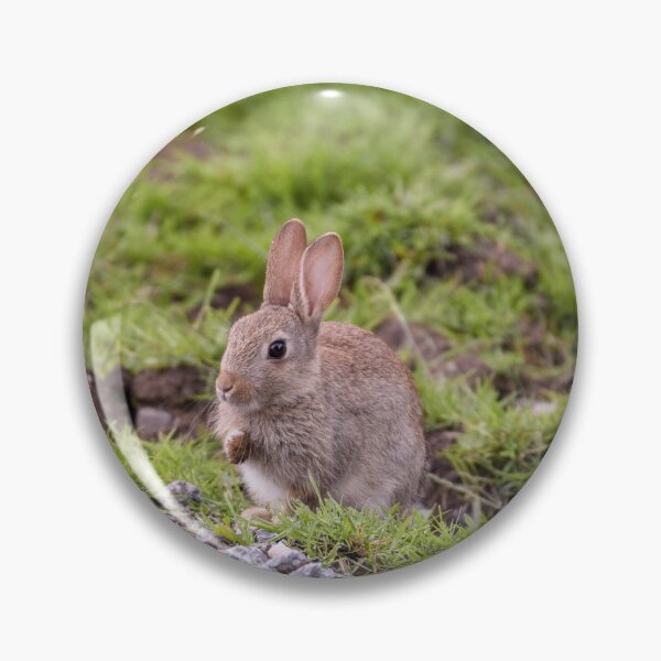 Item preview, Young Rabbit designed and sold by rwhooster.