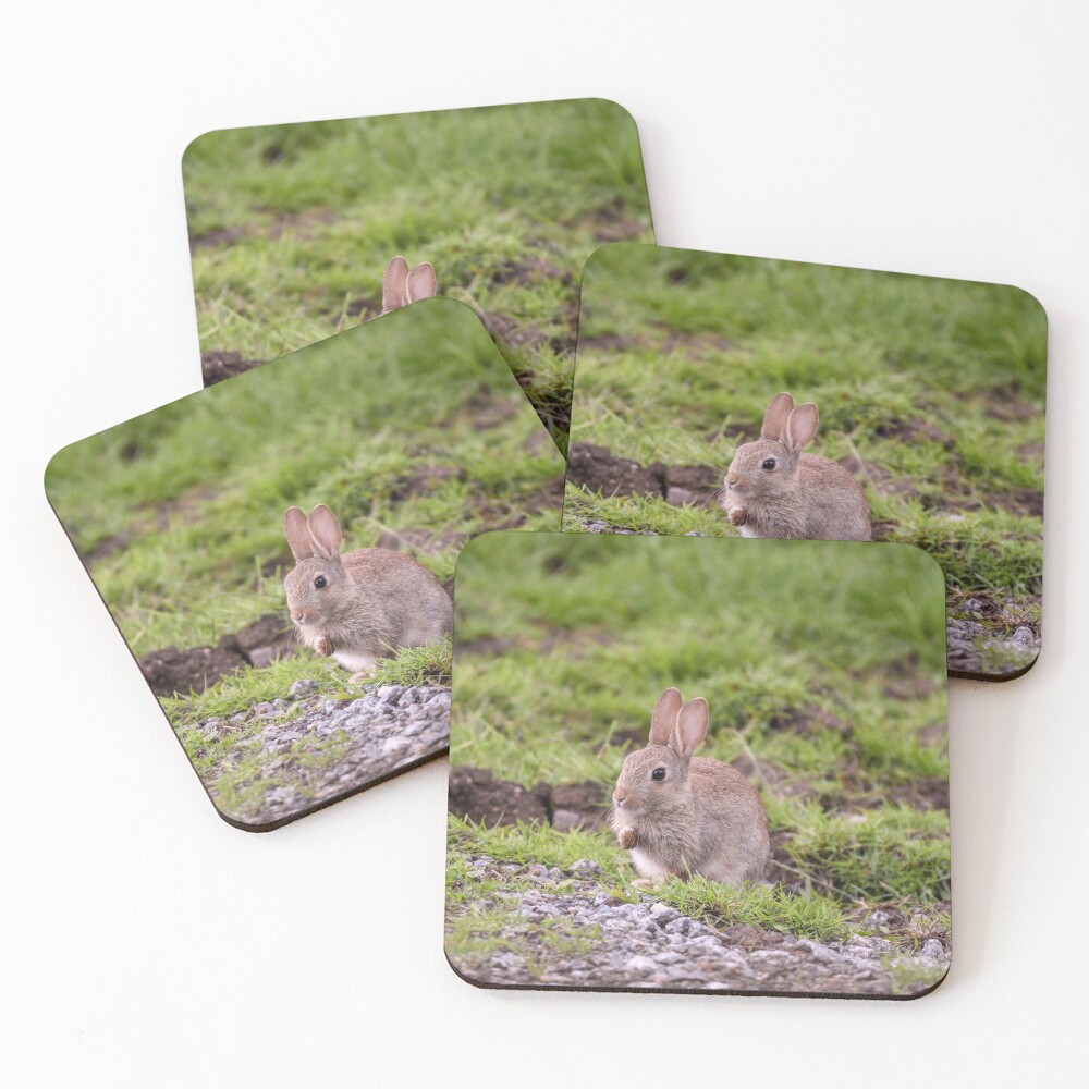 Item preview, Coasters (Set of 4) designed and sold by rwhooster.