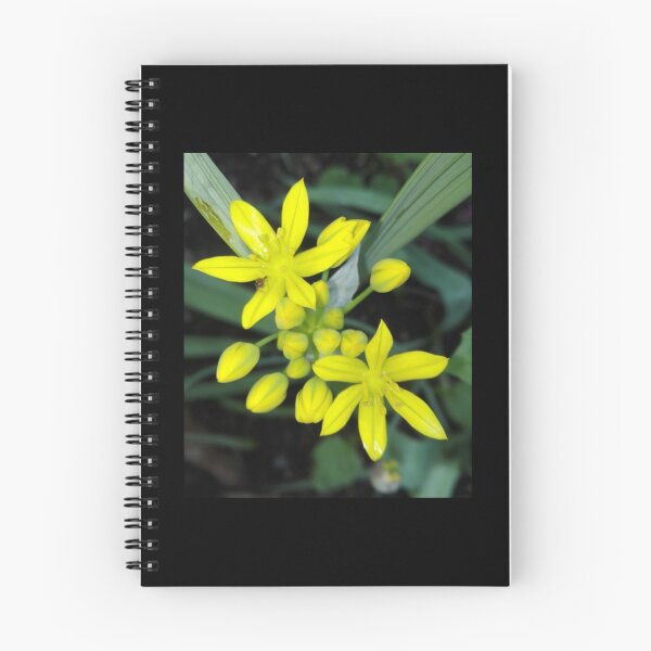 Item preview,  we have compiled the best flower and its meaning for you. The yellow plant of the flower language designed and sold by vibeno1.