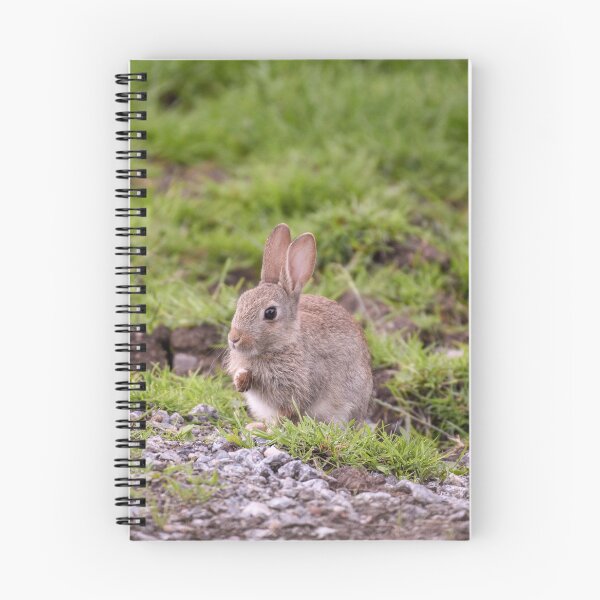 Item preview, Young Rabbit designed and sold by rwhooster.