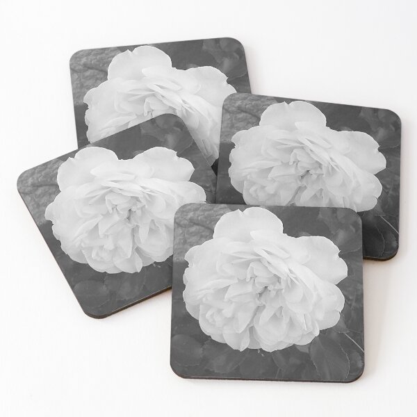 Item preview, One White Rose Flower Blooming designed and sold by Anna Lemos.