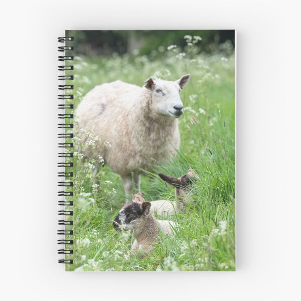 Item preview, Spring Lamb #3 designed and sold by ccullen222.