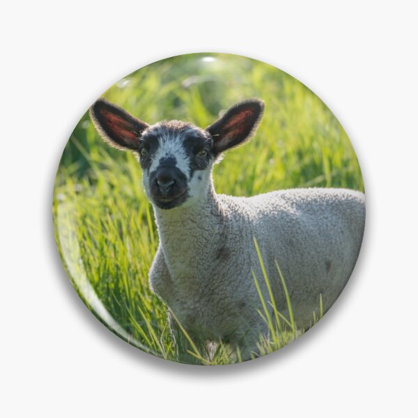 Item preview, Spring Lamb #6 designed and sold by ccullen222.