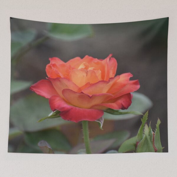 Item preview, The Rose with the Orange Glow designed and sold by ReneeKennedy.