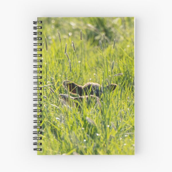 Item preview, Spring lambs in the long grass designed and sold by ccullen222.