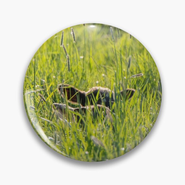 Item preview, Spring lambs in the long grass designed and sold by ccullen222.