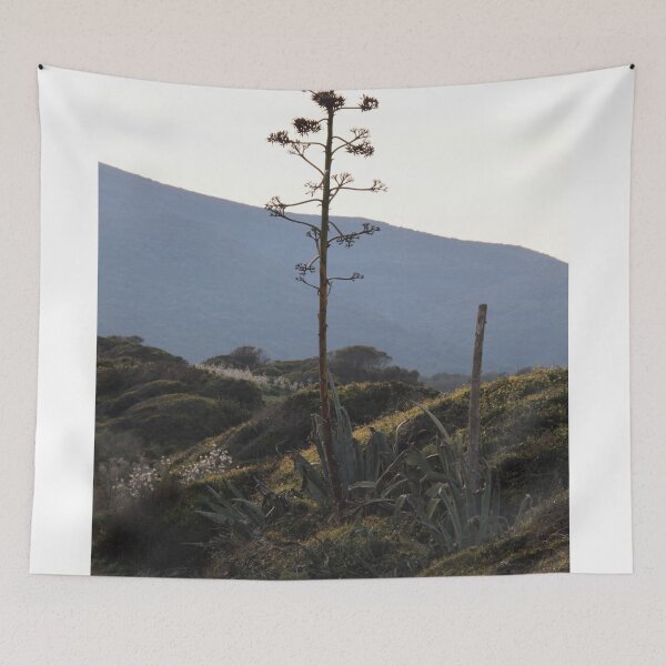 Item preview.