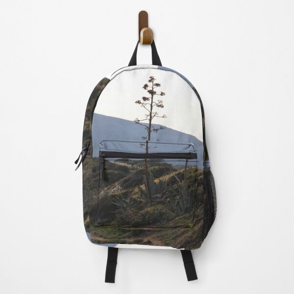 Item preview.