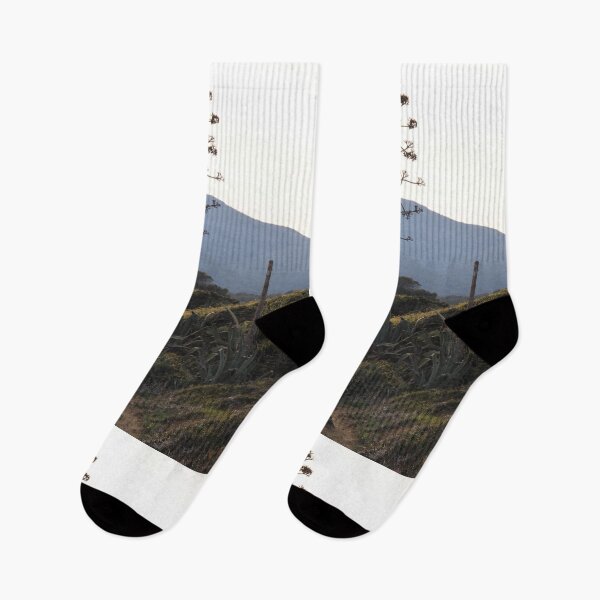 Item preview.