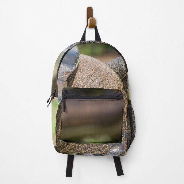 Item preview, Galapagos (giant) tortoise (Geochelone nigra)  designed and sold by Photopat.