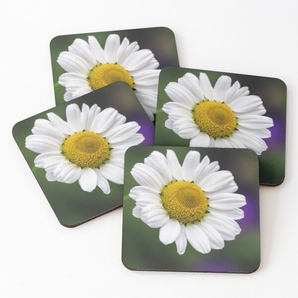 Item preview, White Daisy. designed and sold by John Ray.