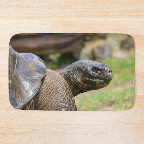 Item preview, Galapagos (giant) tortoise (Geochelone nigra)  designed and sold by Photopat.