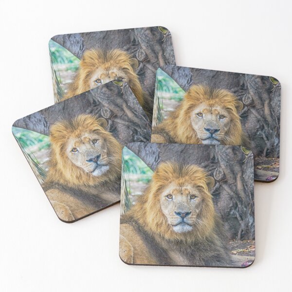 Item preview, Lion designed and sold by Photopat.