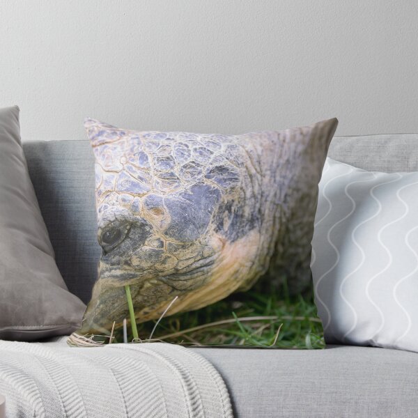 Item preview, Close up of giant Galapagos turtle designed and sold by Photopat.