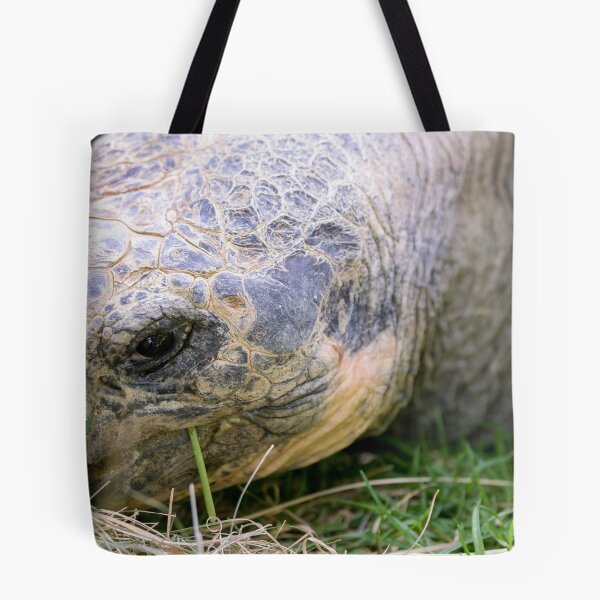 Item preview, Close up of giant Galapagos turtle designed and sold by Photopat.