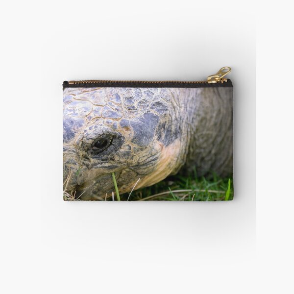 Item preview, Close up of giant Galapagos turtle designed and sold by Photopat.