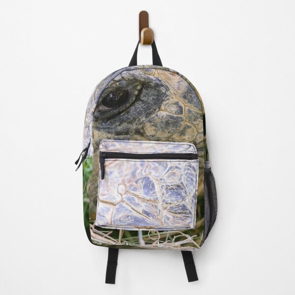 Item preview, Close up of giant Galapagos turtle designed and sold by Photopat.