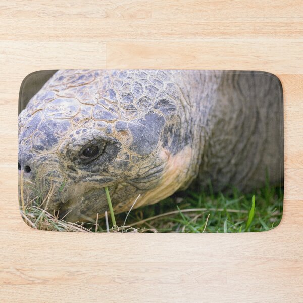 Item preview, Close up of giant Galapagos turtle designed and sold by Photopat.