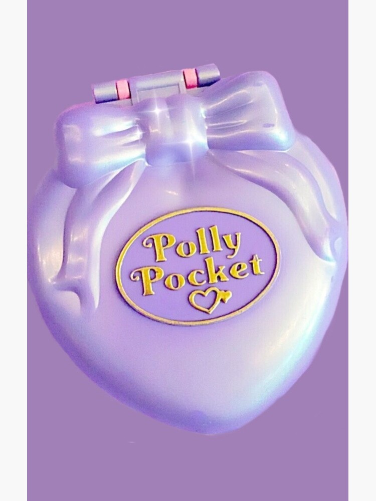 polly pocket case