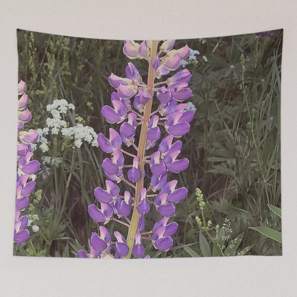 Artikelvorschau, Wilde Lupine entworfen und verkauft von vieno.