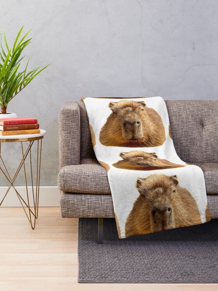 Alternate view of Capybara dozing in the sunshine Throw Blanket