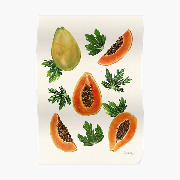 Download Fruit Papaya Posters Redbubble PSD Mockup Templates