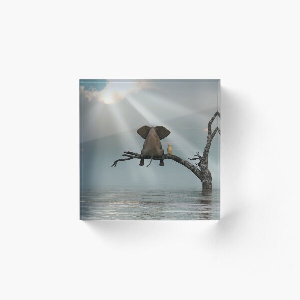 elephant and a dog are sitting on a tree Acrylic Block