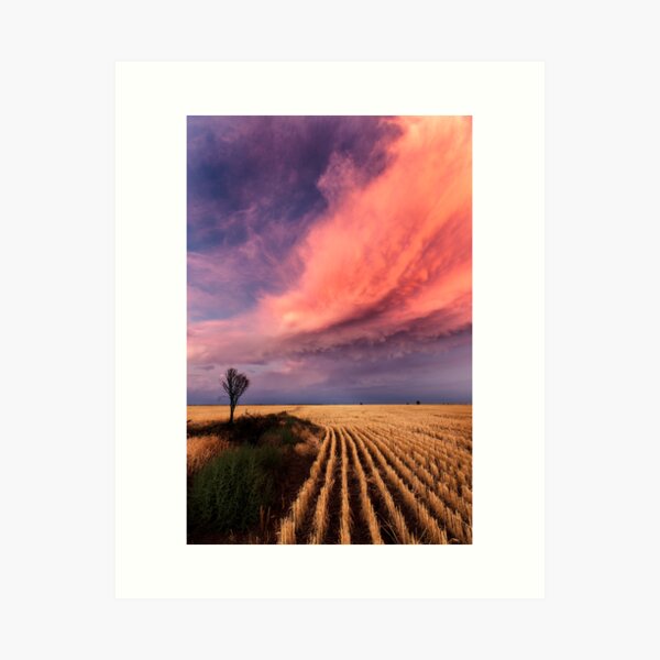 Taking the Long View Art Print