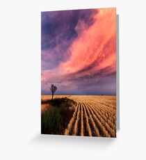 Taking the Long View Greeting Card