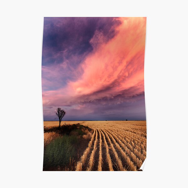 Taking the Long View Poster