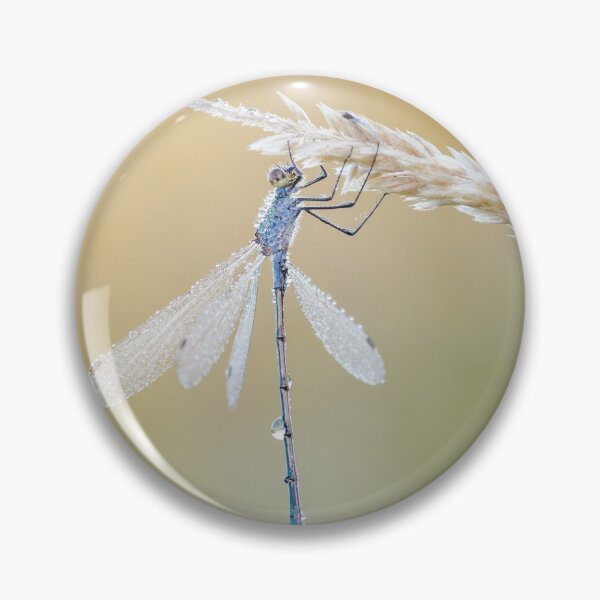 Item preview, Emerald Damselfly designed and sold by Alec Stewart.