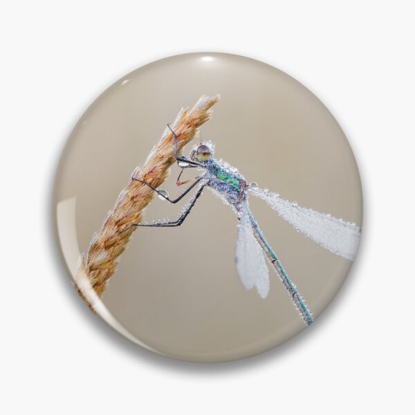 Item preview, Emerald Damselfly on Grass designed and sold by Alec Stewart.