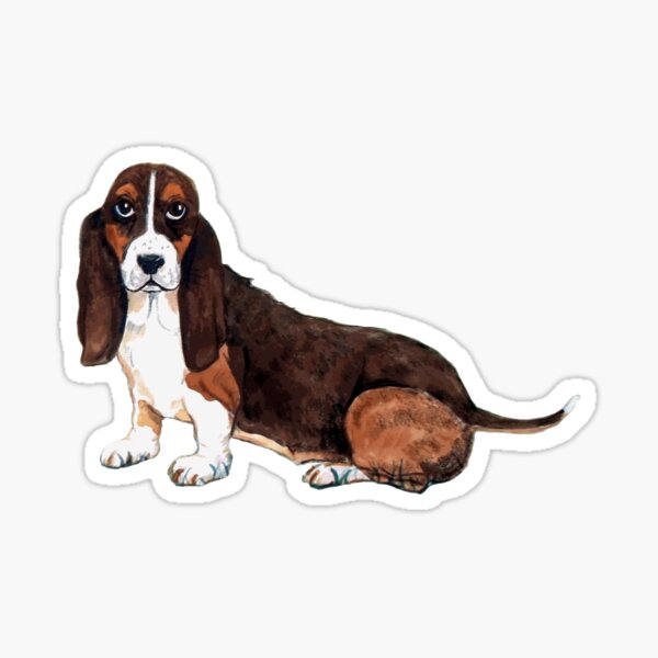 Basset Hound Sticker