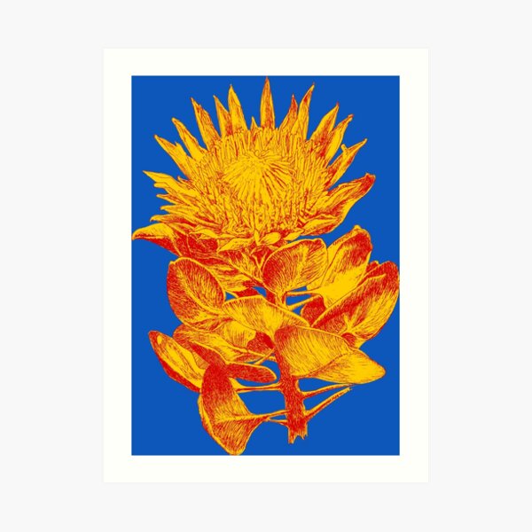 Protea cynaroides turmeric ink art prints Art Print