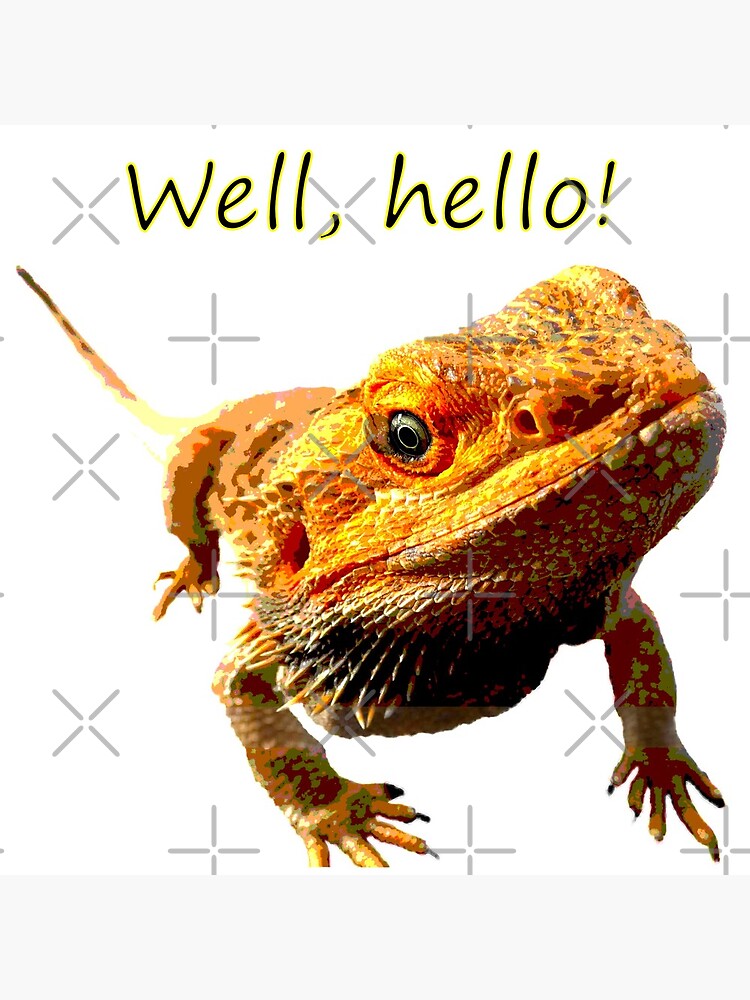 Bearded Dragon Says Hello by snibbo71