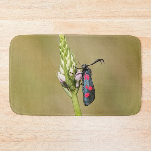 Item preview, Five Spot Burnett Moth designed and sold by Alec Stewart.